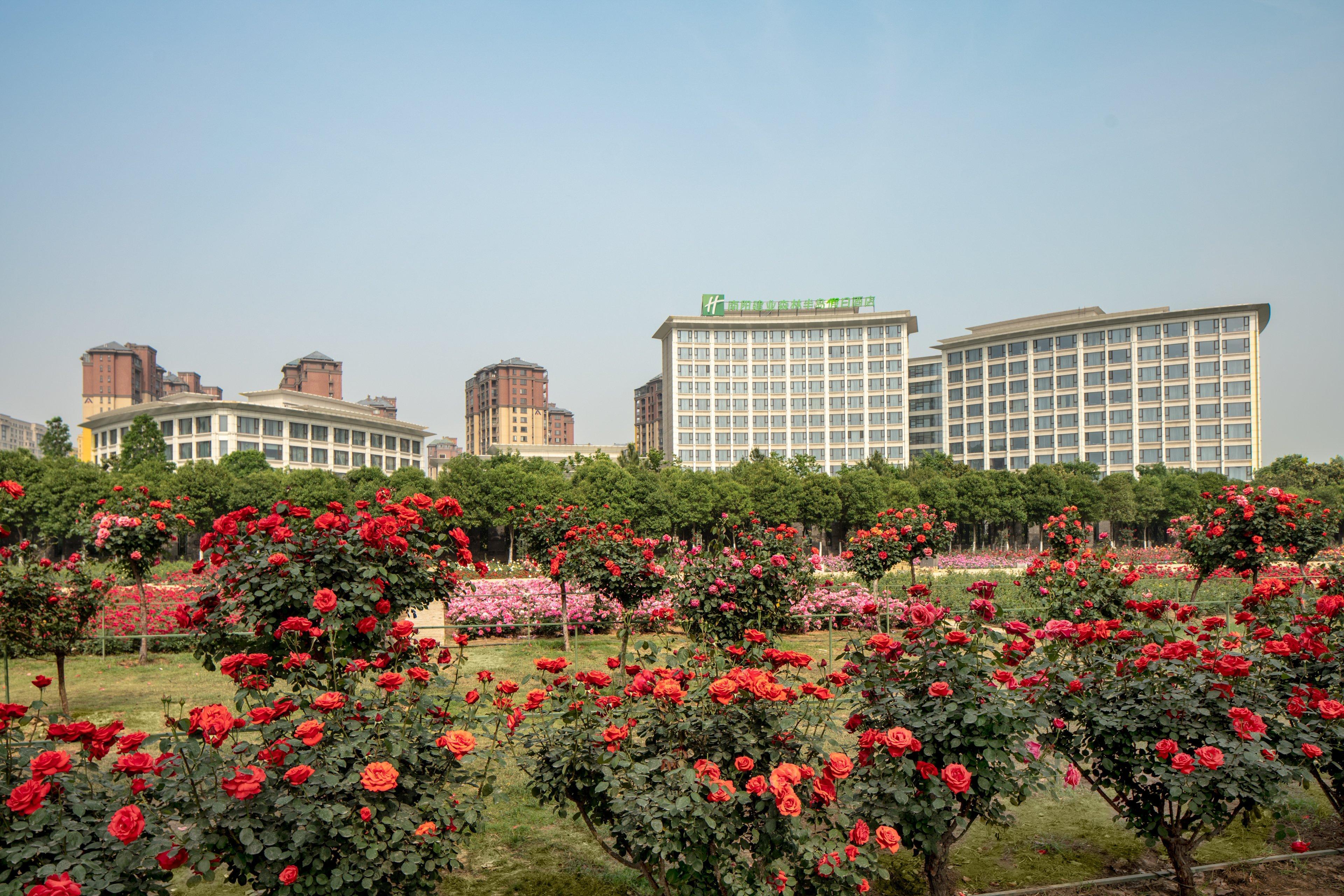 Holiday Inn Nanyang By Ihg Extérieur photo